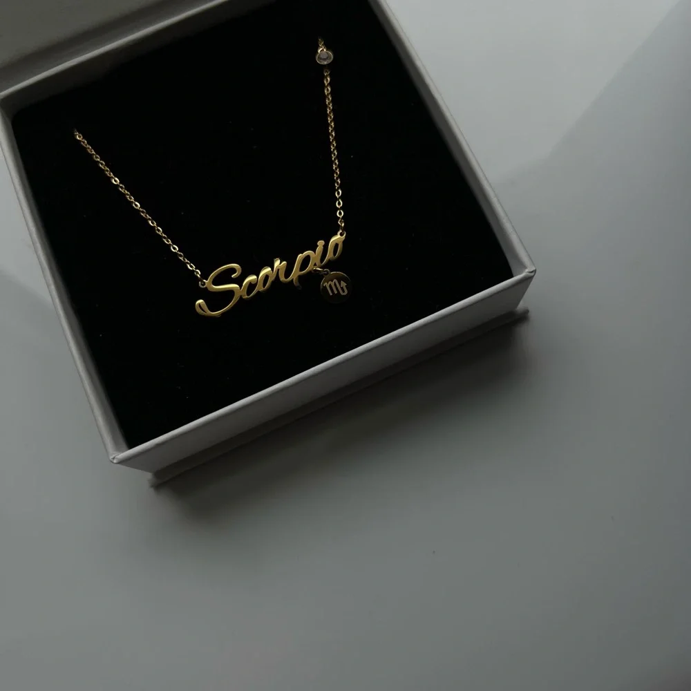 Scorpio Zodiac Sign Necklace Stainless Steel Horoscope Astrology Birthday